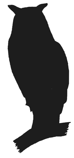 Silhouette Of Screech Owl - ClipArt Best