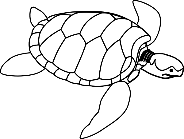Sea Turtle Clip Art - Free Clipart Images