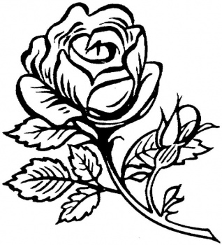 Rose Coloring Page | Larakroemer Net