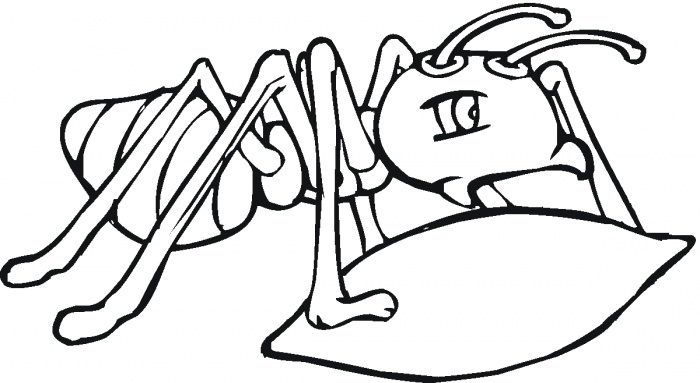 Grasshopper Drawing Outline - Free Clipart Images