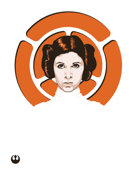 Princess Leia Organa Skywalker by tracieching on DeviantArt