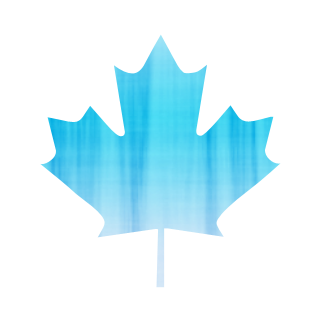 Maple Leaf (Leaves) Icon Version 2 #050642 Â» Icons Etc