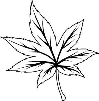 Gum Leaf Template Clipart - Free to use Clip Art Resource