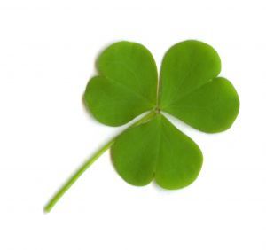 3 Leaf Clover Outline - ClipArt Best