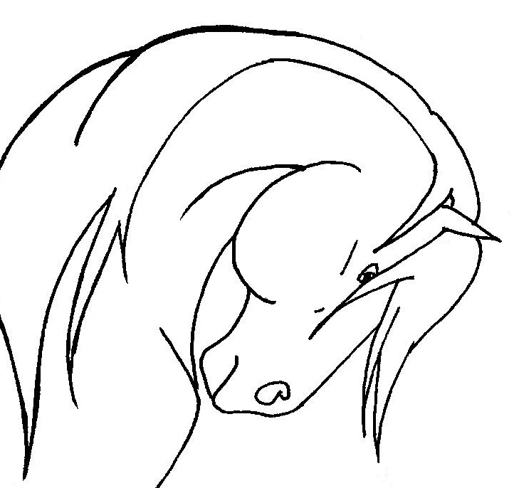deviantART: More Like Horse head lineart 1 by