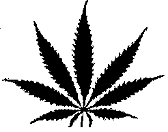 Marijuana leaf clip art | Background Wallpaper