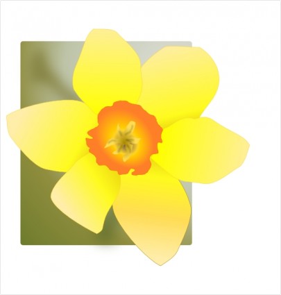 Daffodil clip art Vector clip art - Free vector for free download