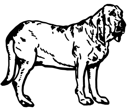 Bloodhound Clip Art, Vector Images & Illustrations