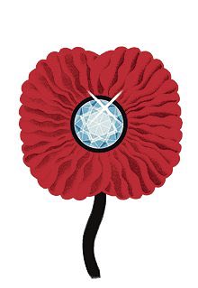 There's no point wearing a poppy if you just want to be popular ...