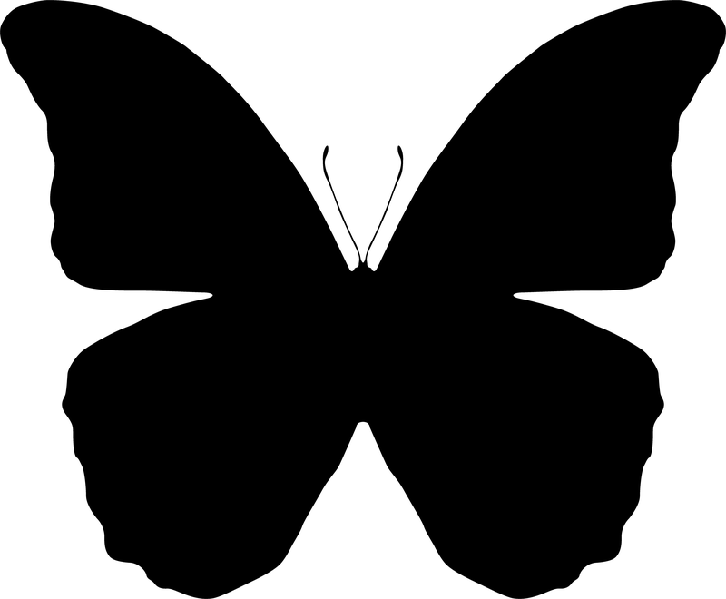 butterfly silhouette side