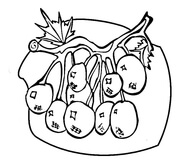 Blueberry coloring pages | Free Coloring Pages