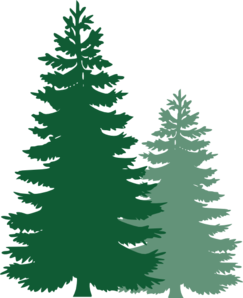 Pine tree border clipart