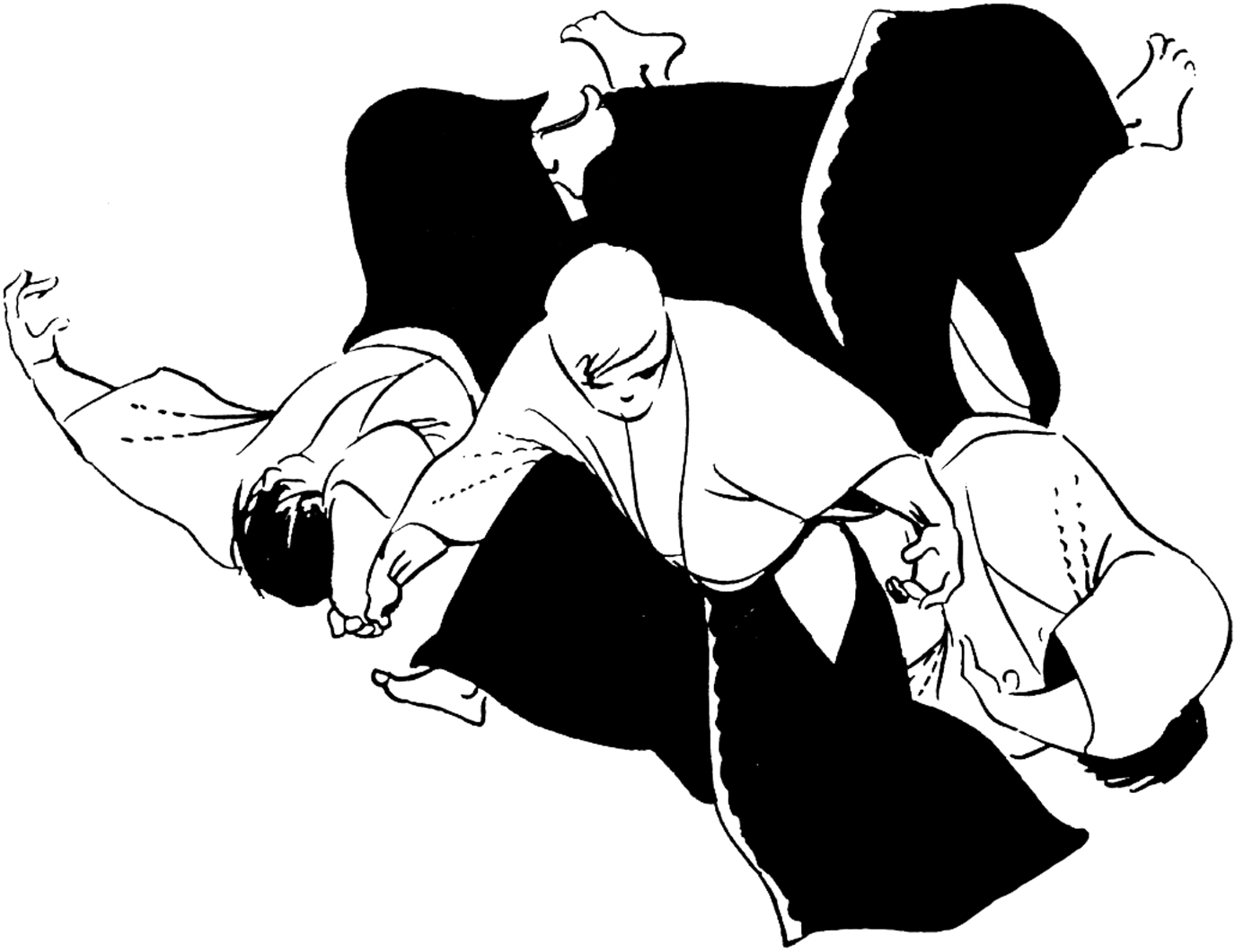 Japanese Jiu Jitsu: A Journey: February 2012