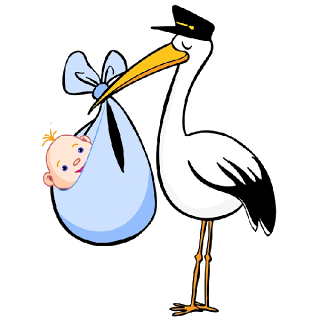 Stork Carrying Baby - Bird Images