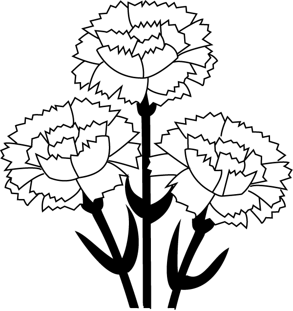 White Carnation Clipart