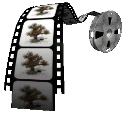 Film Reel GIF - ClipArt Best