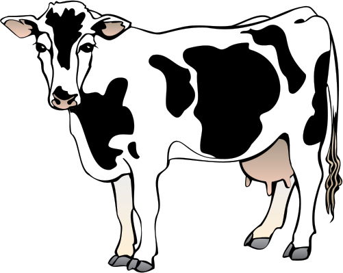 Cow Drawing | Free Download Clip Art | Free Clip Art | on Clipart ...