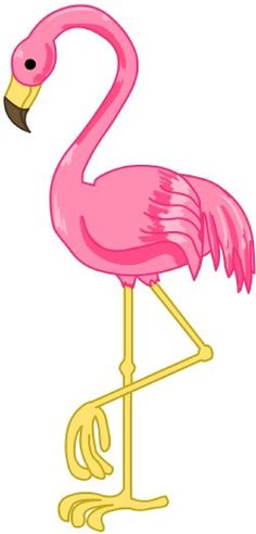 Flamingo Kid Clipart - ClipArt Best