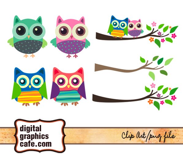 Owl graphic and clipart