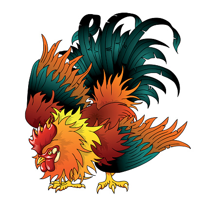 Rooster Isolated On White Background Clip Art, Vector Images ...