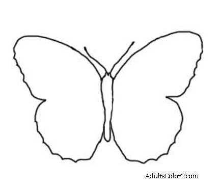 Butterfly Outline Or Silhouette: Basic Butterfly Shapes