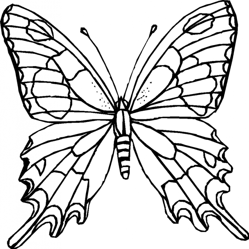 Fancy black and white butterfly clipart - ClipartFox