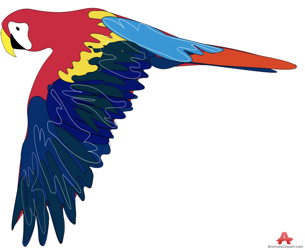 Colored Parrot Flying | Free Clipart Design Download