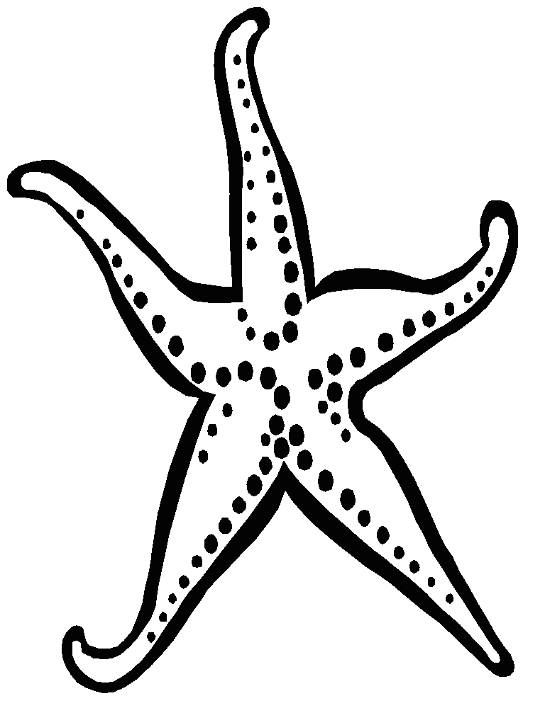 Starfish Craft Outline ClipArt Best