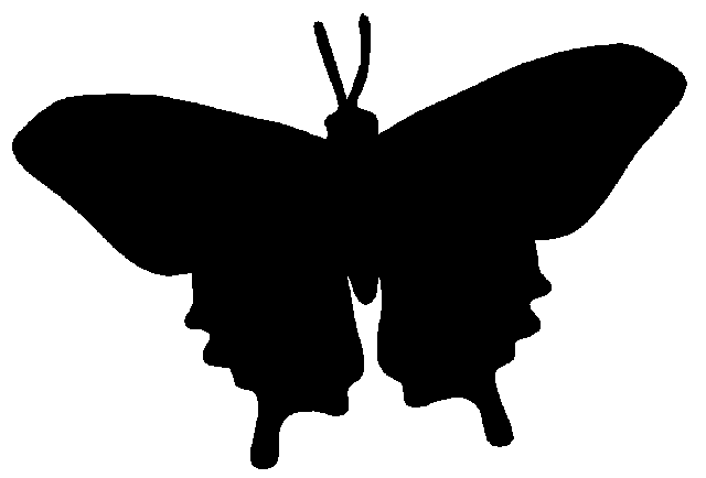 Butterflies Silhouette - ClipArt Best