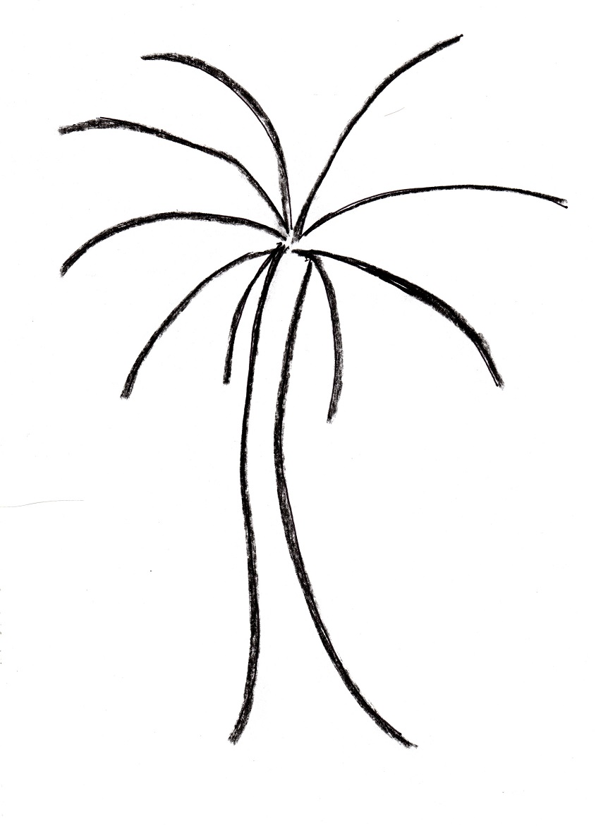 Palm Tree Drawing - Samantha Bell