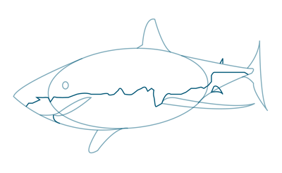 How to Draw a Great White Shark – Sketchbook Challenge 14 ...