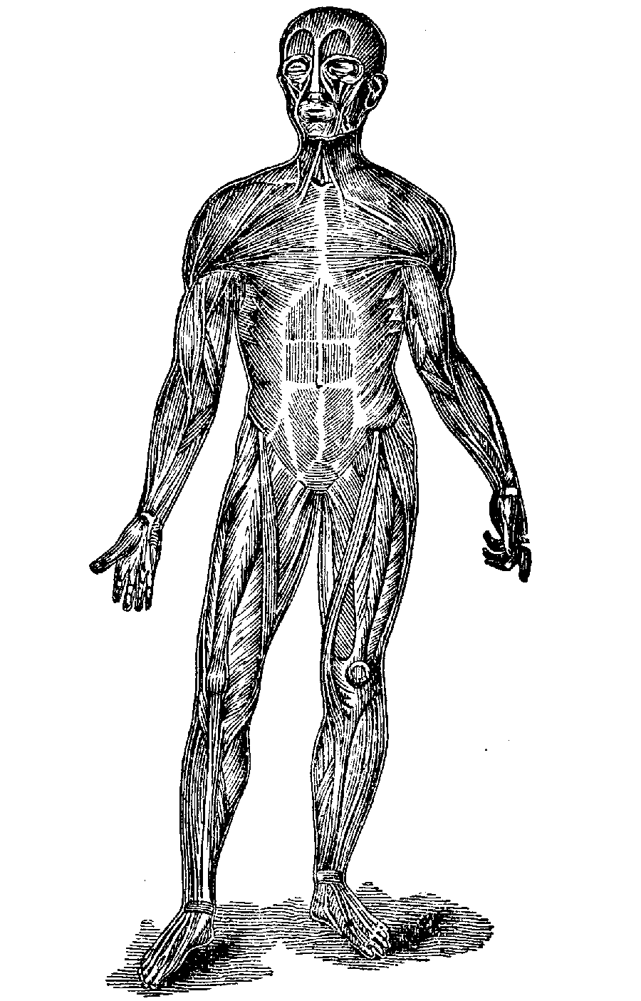 Printable human body outline drawing DUŠAN ?ECH - ClipArt Best