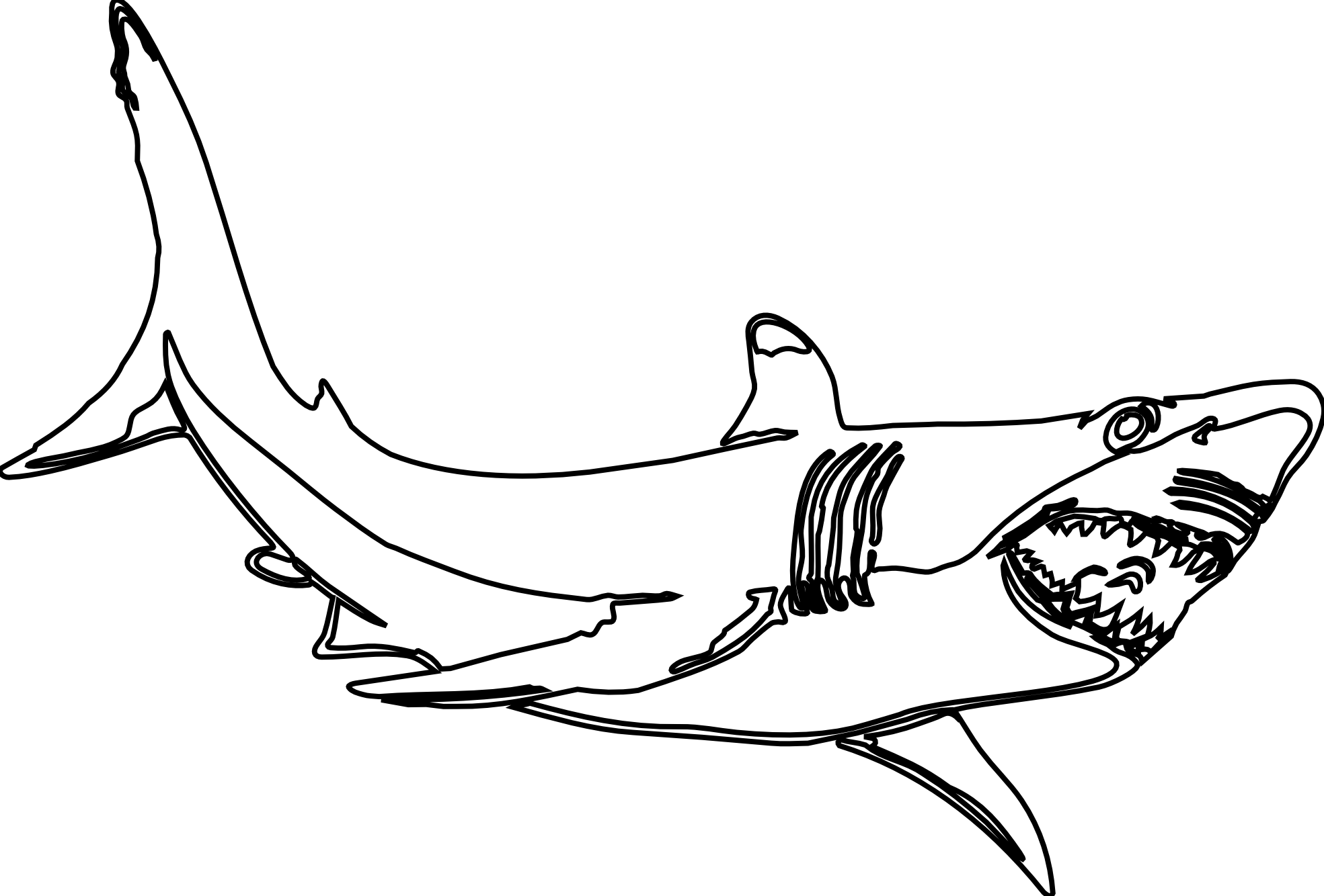 Hammerhead Shark Clipart Black And White - Free ...