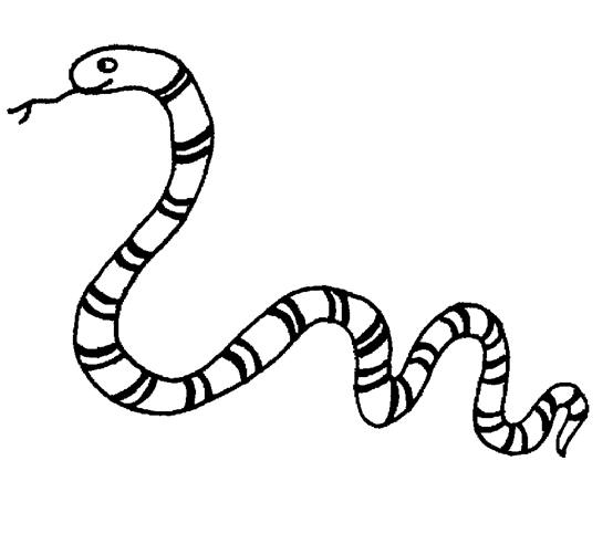 king cobra snake coloring pages. snake coloring pages sketch Cute ...