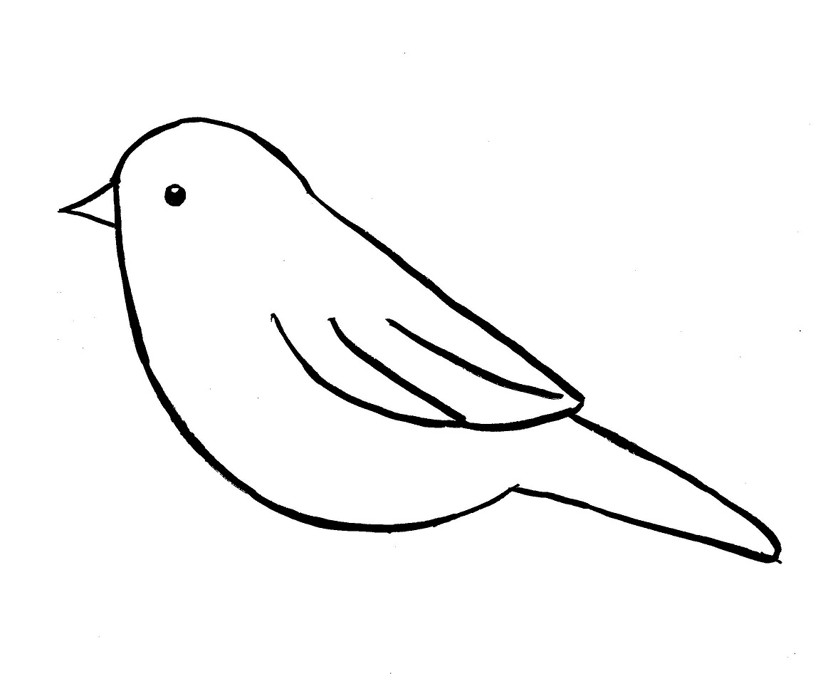Chickadee Drawing Step by Step - Samantha Bell