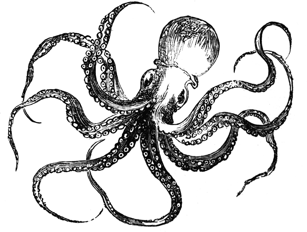 Clip Art Octopus | Cool Clip Art