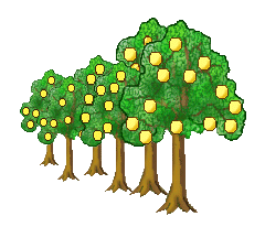 Tree Clip Art - Free Tree Clip Art - Six Grapefruit Trees in a Row