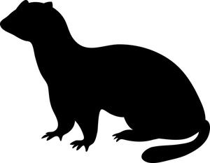 Ferret Clip Art Images - Free Clipart Images