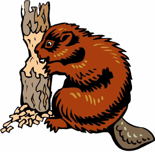 Beaver Clipart - The Cliparts