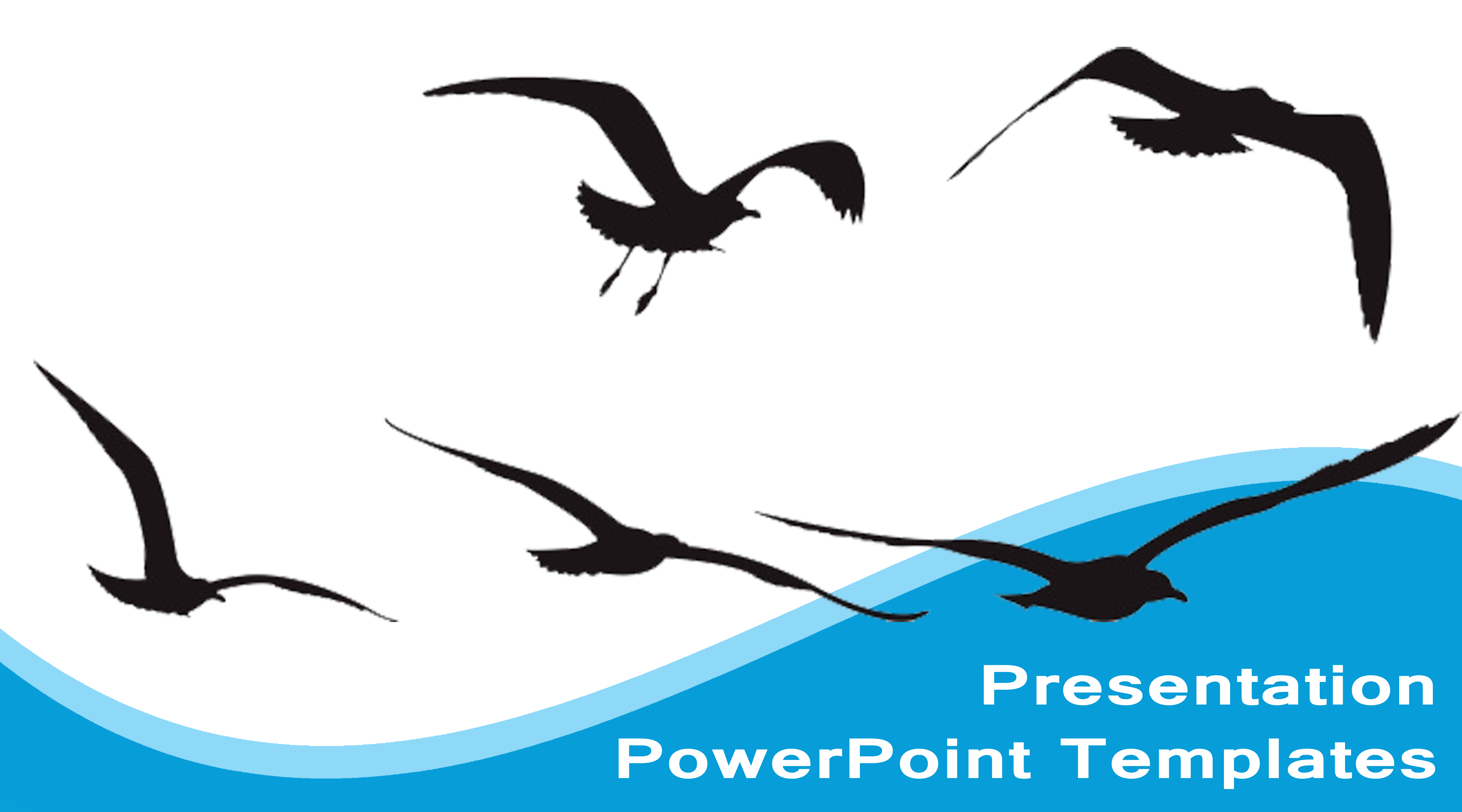 Seagull Templates Presentations - Free Animals PowerPoint ...