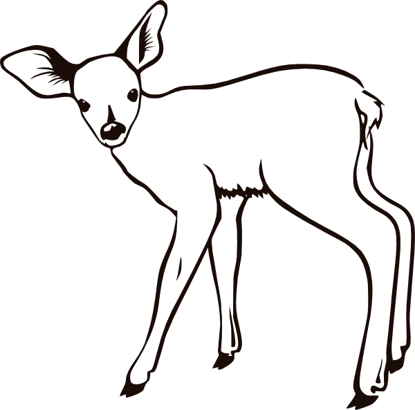 Deer Coloring Page #22757