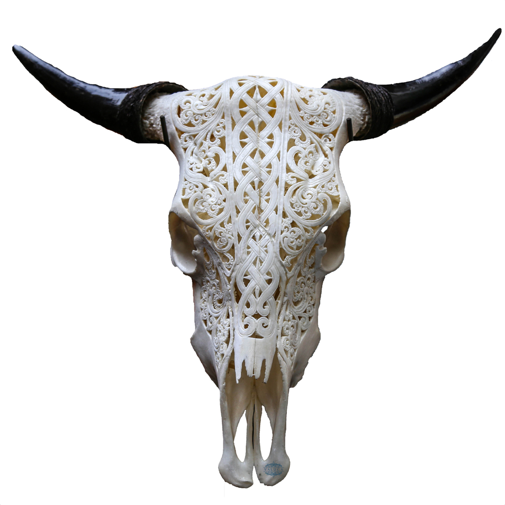 Hand Carved Cow, Steer Skull Longhorns Celtic Design