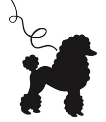 Klein poodle clipart