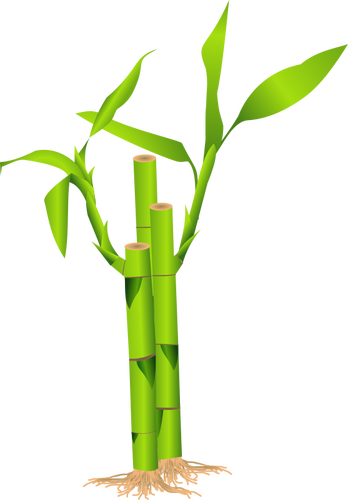 Bamboo vector drawing | Public domain vectors