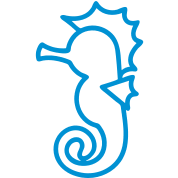 little seahorse outline T-Shirt ID: 8401534