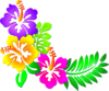 Hibiscus Corner 3 clip art - vector clip art online, royalty free ...