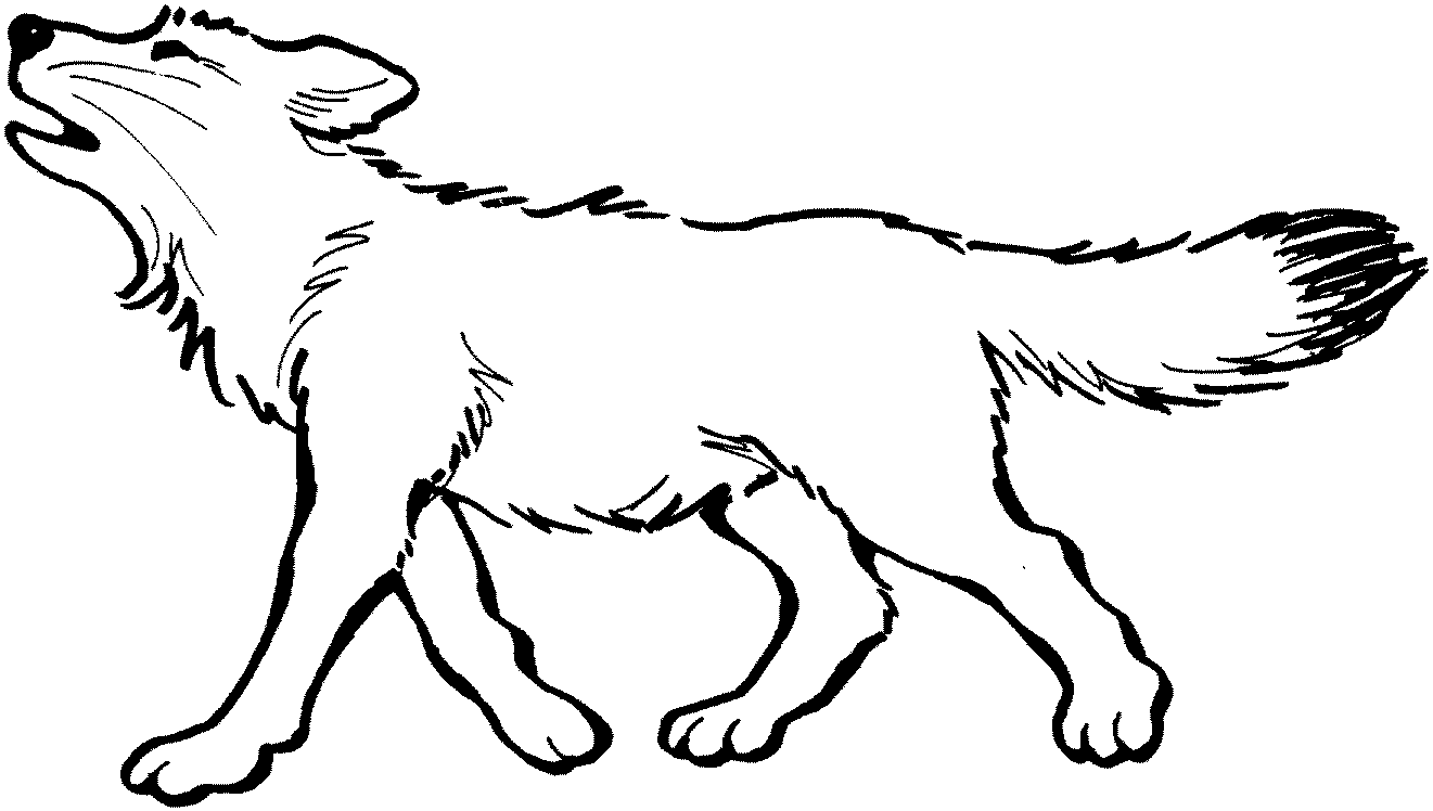 Wolf coloring pages to print - Coloring Pages & Pictures - IMAGIXS