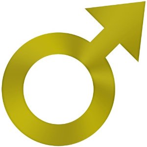 Amazon.com - Male Sex Symbol Decal Sticker (Metallic Gold, 8 inch)