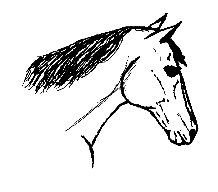 Pin Draw Horse Head 6 Completed Line Art