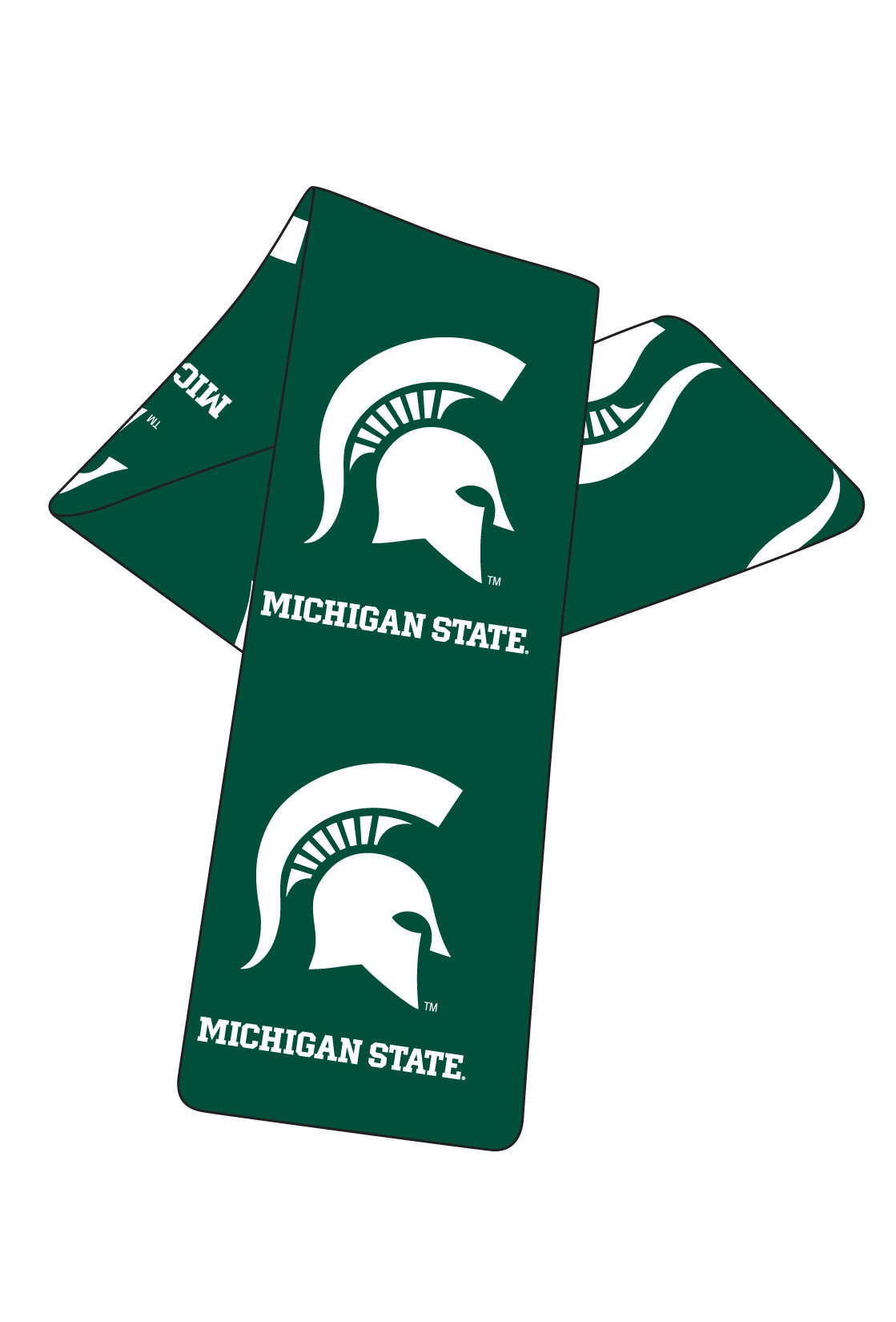 Michigan State Scarf